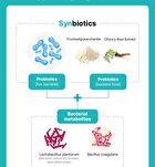 Liposomal Probiotics - 2g x 30 sticks