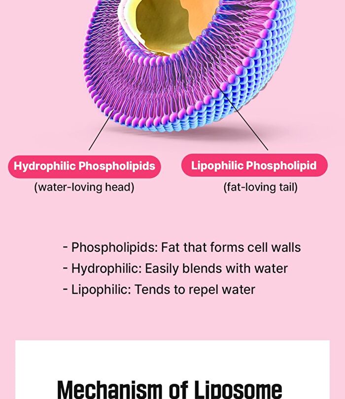 Liposomal Probiotics - 2g x 30 sticks