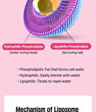 Liposomal Probiotics - 2g x 30 sticks