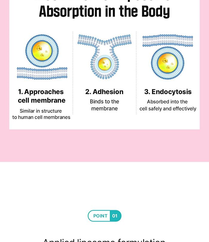 Liposomal Probiotics - 2g x 30 sticks