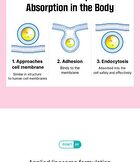 Liposomal Probiotics - 2g x 30 sticks