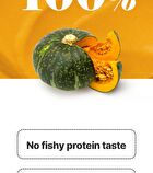 SweetPump Protein Shake - 50g