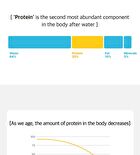 SweetPump Protein Shake - 50g