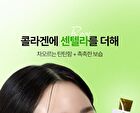 Foodology Collagen Centella Jelly - 25g x 10 sticks