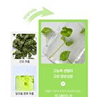 Foodology Collagen Centella Jelly - 25g x 10 sticks