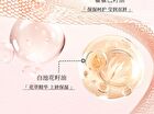 Gogo Tales Glossy Light Lip Gloss  - 7 Colors - #G01 - 1.6g