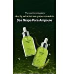 Sea Grape Lifting Ampoule - 2025 Version - 50ml