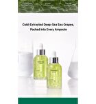 Sea Grape Lifting Ampoule - 2025 Version - 50ml