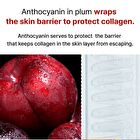 Black Plum Fill-up Cream - Old Version - 50ml