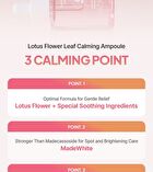 Lotus Flower Leaf Calming Ampoule - 50ml