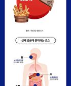 Plum Enzyme - 3g x 30 sticks