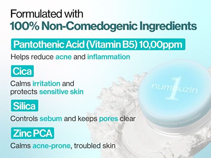 numbuzin No.1 Pantothenic Skincare 100 Blur Powder - 7g