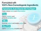 numbuzin No.1 Pantothenic Skincare 100 Blur Powder - 7g