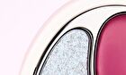 Joocyee Cream Blush & Highlighting Duo - 4 Colors - #D259 Cherry Blossom - 7g