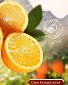 Fayankou Moisturize Smooth Fruit Hand Cream - 5 Types - #Pomegramate - 30g