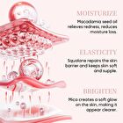 Derol Collagen Peptide & Glossy Primer Stick - #Primer Stick - 7.5g