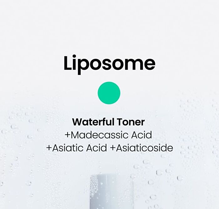 Liposome Waterful Toner - 200ml