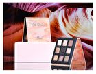 C9 9-Color Eyeshadow Palette - 4 Types - Milky Way (1.2g x 9)