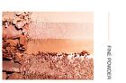 Fish Scale HD 18-Color Eyeshadow Palette - 1.2g x 18