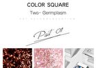 Silver Bottle Chameleon Single Eyeshadow - 16 Colors - S700# Fire Dancer - 2g