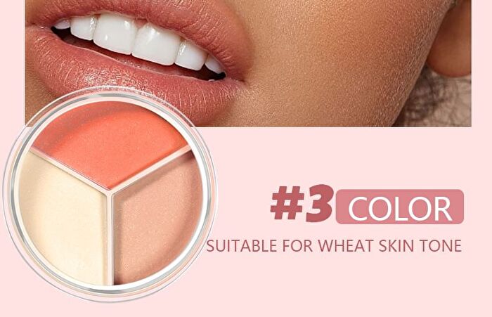 3-Color Oil-Control Loose Powder - 4 Types - 01# - (4g x 3)