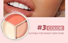 3-Color Oil-Control Loose Powder - 4 Types - 01# - (4g x 3)