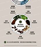 Black Ginseng Strengthening Shampoo - 490ml