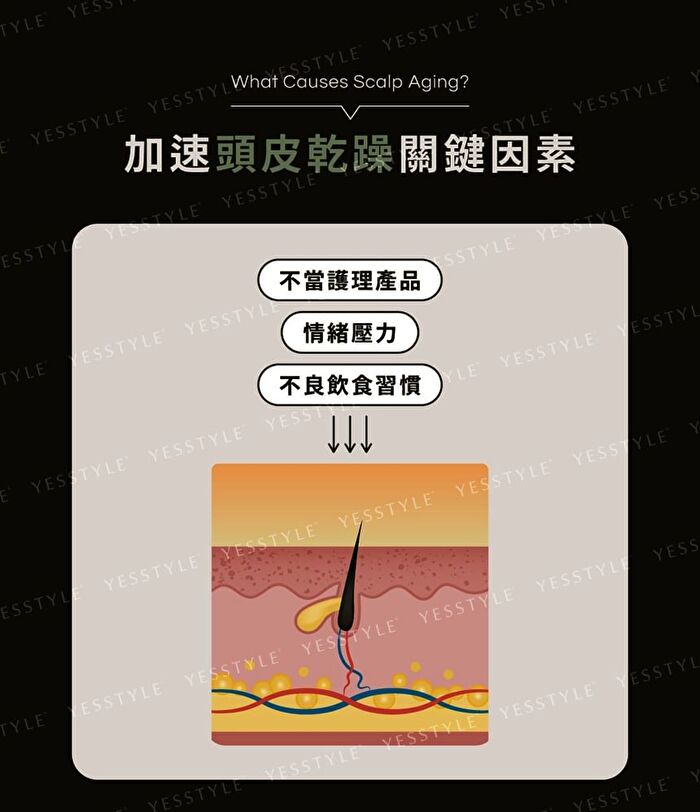 Black Ginseng Strengthening Shampoo - 490ml