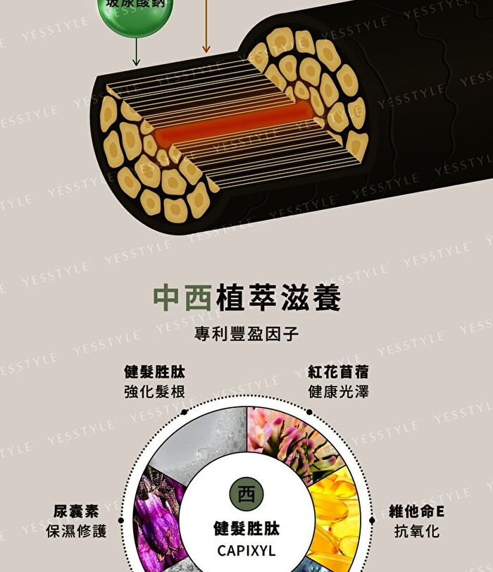 Black Ginseng Strengthening Shampoo - 490ml