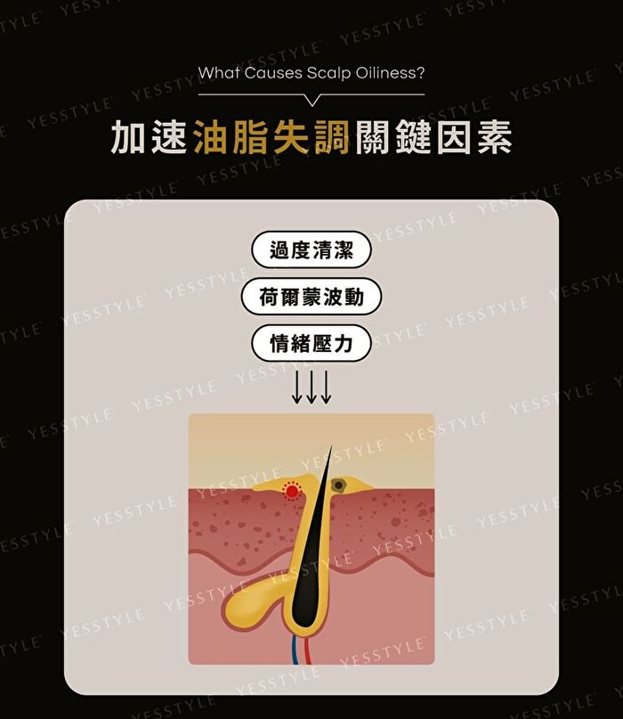 Black Ginseng Scalp Control Shampoo - 490ml