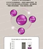 Revitalizing Scalp Tonic - 100ml