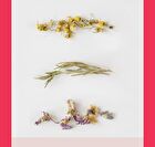 Blessed Moon Veil Blur Lip Tint - 4 Colors - #01 Coco