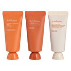 Mini Mask Kit - 3 pcs