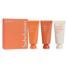 Mini Mask Kit - 3 pcs