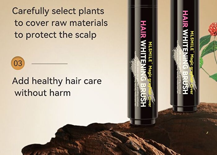 Magic Grayhair Cover Hair Brush - 4 Colors - #01 Black - 20ml