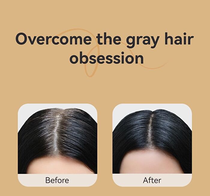 Magic Grayhair Cover Hair Brush - 4 Colors - #01 Black - 20ml