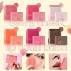 Dewy Fruit Cheek & Lip Multi Balm - 6 Colors - #X01 Peach - 10g