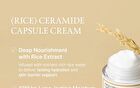Fully Rice Ceramide Capsule Cream - 90ml