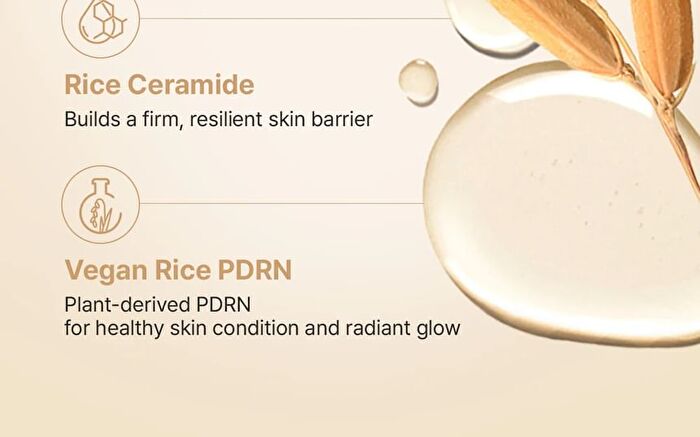 Fully Rice Ceramide Capsule Cream - 90ml
