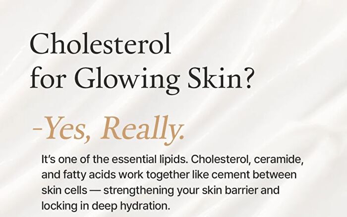 Fully Rice Ceramide Capsule Cream - 90ml