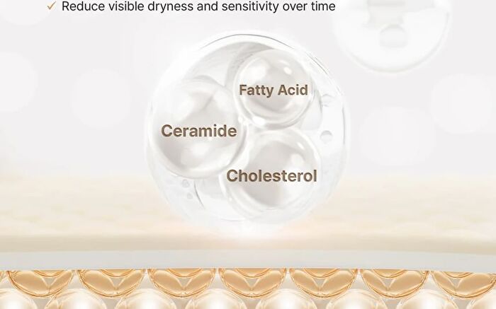 Fully Rice Ceramide Capsule Cream - 90ml