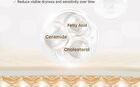 Fully Rice Ceramide Capsule Cream - 90ml