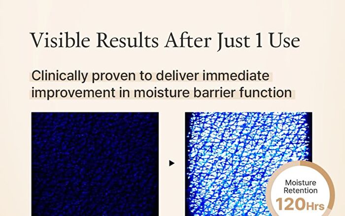 Fully Rice Ceramide Capsule Cream - 90ml