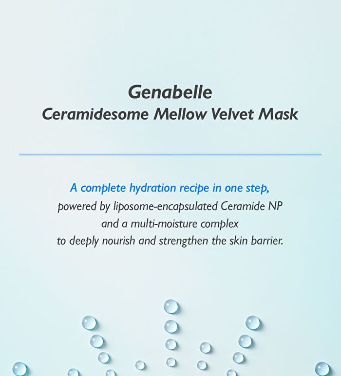 Ceramidesome Mellow Velet Mask Set - 25ml x 5 sheets