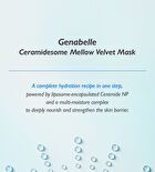 Ceramidesome Mellow Velet Mask Set - 25ml x 5 sheets