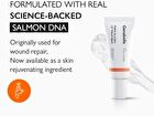 PDRN Glazed Lip Treatment - 10ml