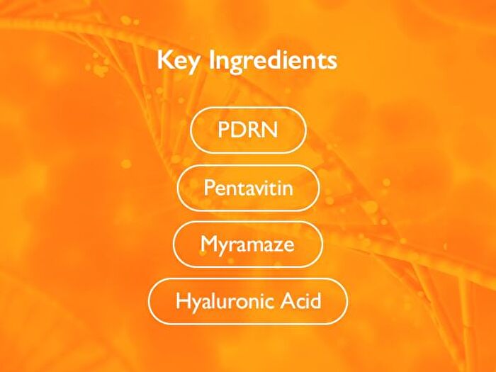 PDRN Glazed Lip Treatment - 10ml