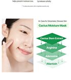 Be Nature Mask Set - 6 Types - Lotus & Blooming