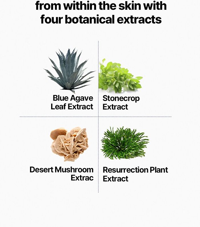 Be Nature Mask Set - 6 Types - Lotus & Blooming