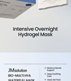 Bio Mask Set - 2 Types - Multi Hya Waterfull